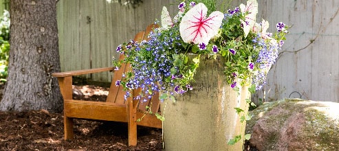 Customized inhome decor installations in Fort Collins, Loveland and surrounding areas.